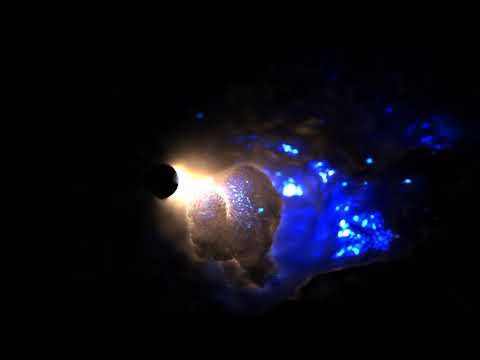 Virgill / Alcatraz - The explorer