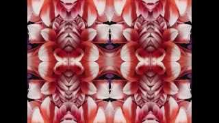 Come To Me Baby (by Lucinda Williams live at Slim's '98)