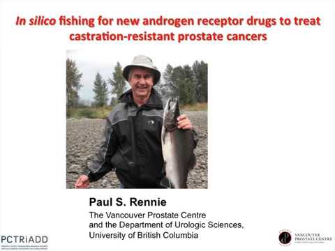 In Silico Fishing For New Androgen Receptor Drugs To Treat Castration-Resistant Prostate Cancers