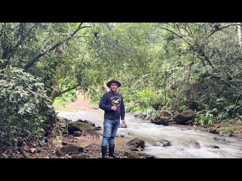 Rio Carumbé - Município de Adrianopolis - Paraná. #rios #natureza #lendas #natureza #cães #paz #rio 