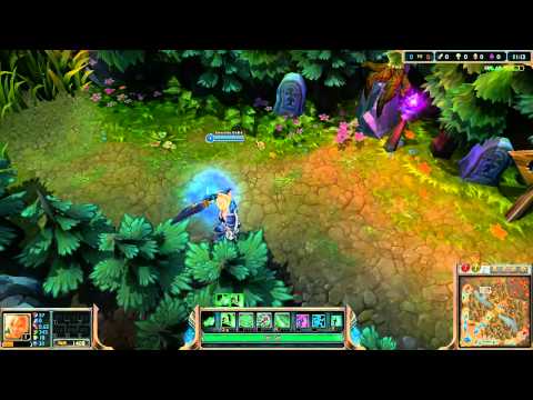 Easy Red Top Tri Jungle Wall