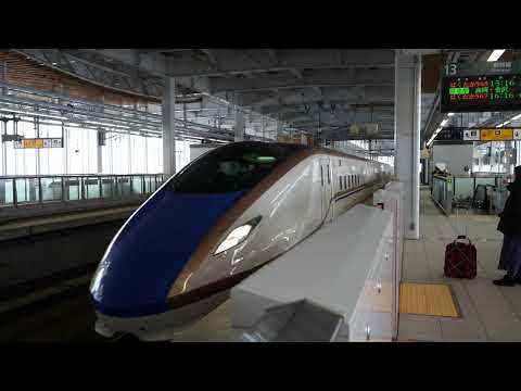 2023 Japan Lotte Arai Honshu Powder Snowboarding