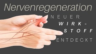 Wirkstoff zur Nervenregeneration aus alter Heilpflanze entdeckt WIE MIR MUTTERKRAUT HALF!