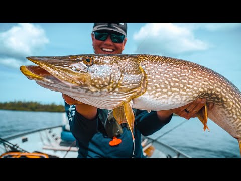 A Week In Northern Manitoba - Film