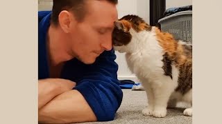 Have the love of a cat is to have the world - Cute ways cats show their love for owner