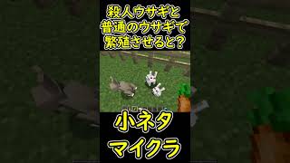 殺人ウサギと普通のウサギで繁殖させると子供はどうなる？　小ネタ　【マイクラ/マインクラフト】 #shorts