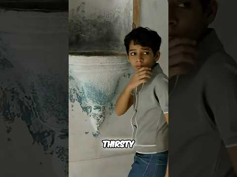 Life of Pi: The Tiger's True Meaning Explained!