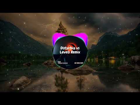 Disturbia x levels Remix