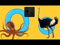Starfall Letter O