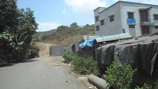 Water Lily and White Lily