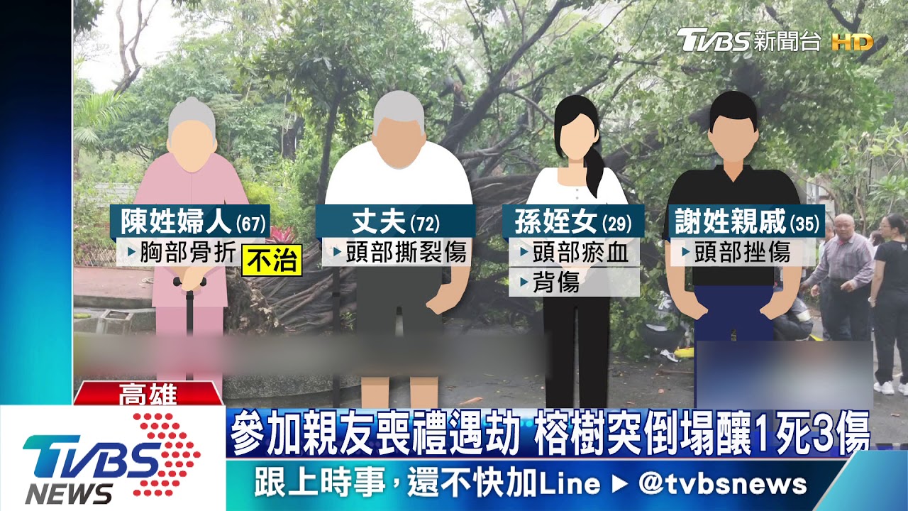 參加喪禮遇死劫! 樹下休息被倒塌榕樹壓死
