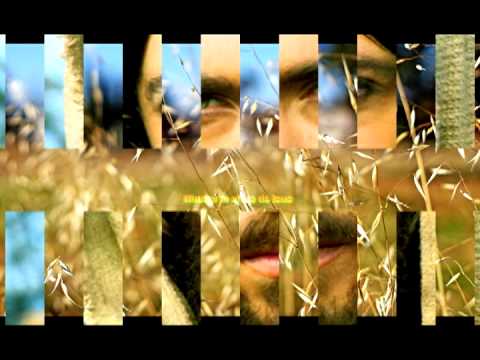 Fratii Budau vol 2 - Mai scump decat cerul si pamantul