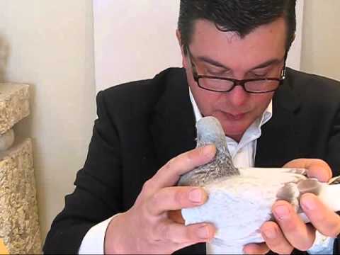 B07.4100029.DENHAEZE.wmv