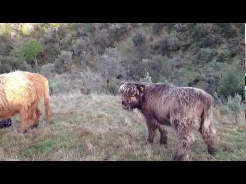 Coco Tries to Teach Rayne a Lesson