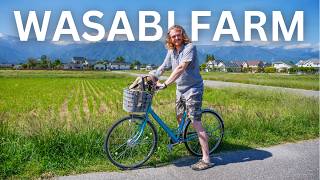 Daio WASABI FARM in Japan 🌱 | Exploring RURAL JAPAN by Bike on a Day Trip from Matsumoto