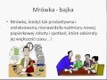 Mrówka Bajka