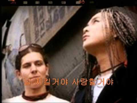시리우스(Sirius) - 수호천사