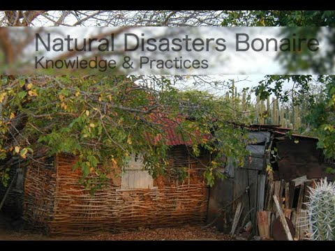 , title : 'Natural Disasters Bonaire, Knowledge & Practices'