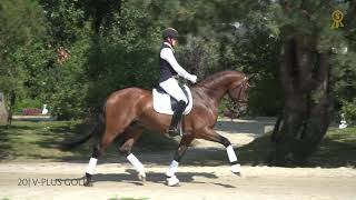 Ventes PSI : 2 chevaux de dressage vendus pour plus d'1 million d'euros