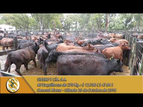 20-10-18 Venta de Hembras - Remate Aniversario - Sivero y Cía. S.A. - Gral. Alvear