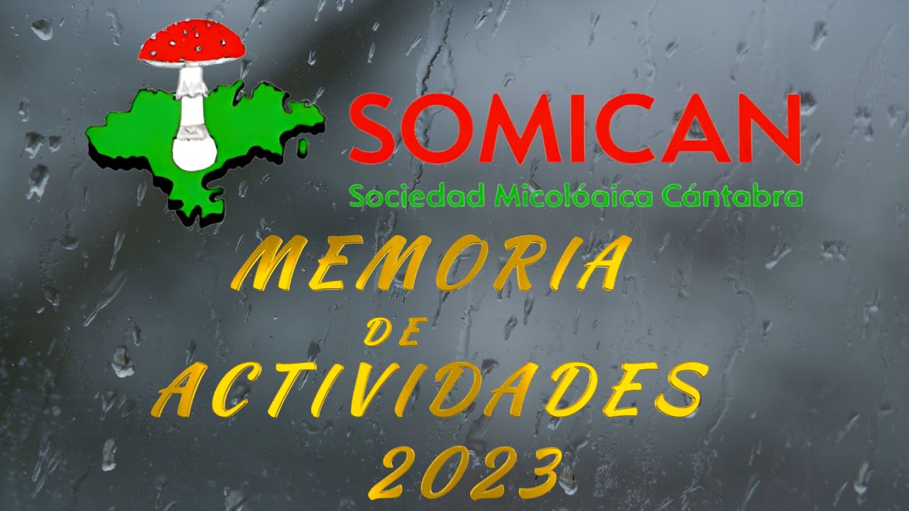 SMC Memoria de actividades 2023