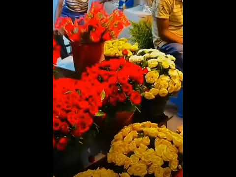 fouryou video####🙂🥀