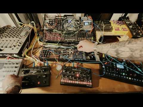 Stochastic Inspiration Generator, Intelijell Bitfold, WMD-SSF Spectrum, Erica  Ninja Tunes Zen Delay