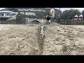How A Beach Gets Destroyed