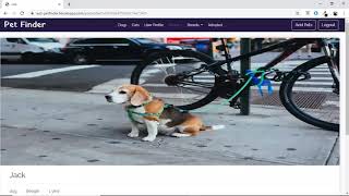 PetFinder - A Web App for Pet Adoption | Software Engineer Course's Project (Demo 2)