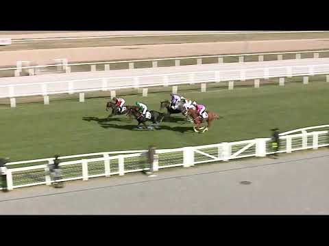 2021.10.31. 01. futam - ÚJKÍGYÓS VÁROS NAGYDÍJA - ŐSZI NAGY GÁTVERSENY