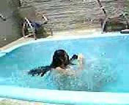 Feriado na casa da Lucimar!