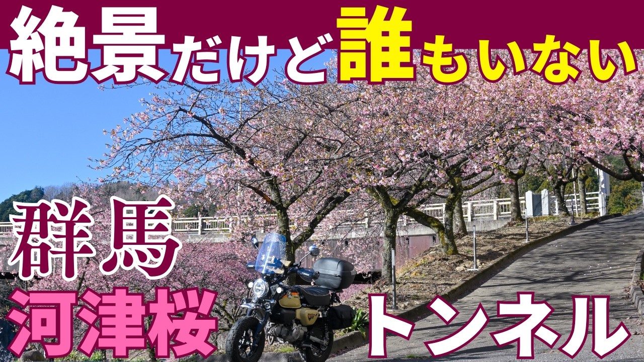 群馬のマイナー河津桜トンネルと、わたらせ渓谷鐵道沿線の梅と神戸駅の花桃2026｜モンキー125でお花見ツーリング