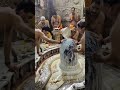 Shiv Amritwani Full By Anuradha Paudwal I Shiv Amritwani
