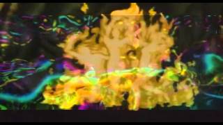 Infected Mushroom The Missed Symphony