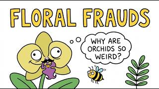 Why are orchids so weird?