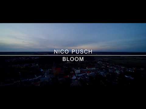 Nico Pusch Bloom