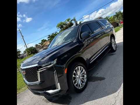 Seguimos progresando - Payasito