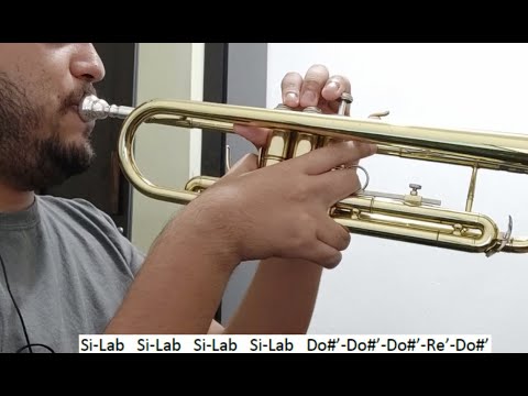 Yo Tengo Gozo Tengo Alegría - Ebenezer