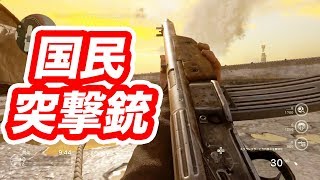 国民突撃銃で遊ぶ【COD:WW2】マック堺ゲーム実況