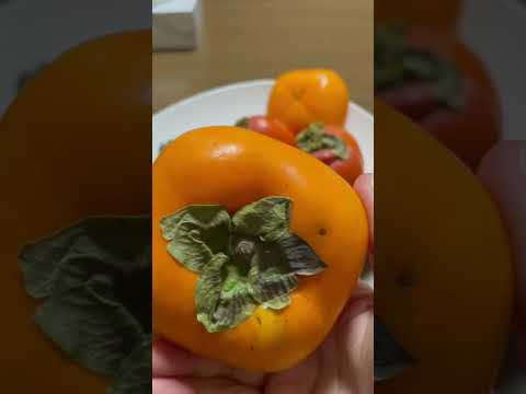 Fuyu PERSIMMON #shorts #kaki #autumnfruits