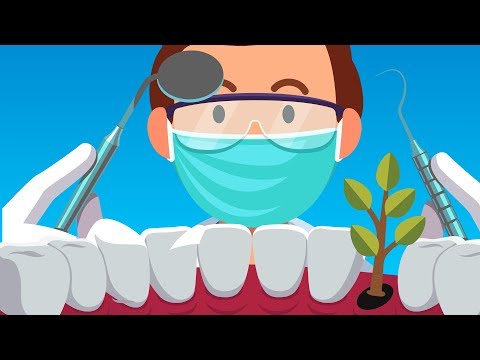 Weird Things That Can Find Their Way Into Human Bodies