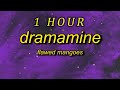 Flawed Mangoes Dramamine 1 Hour