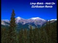 Limp Bizkit Hold On Rich Sutton Remix