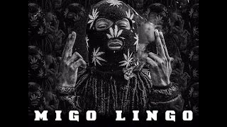 Migos- Falisha ft. Rich Homie Quan (HD)