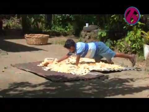 Matracas purisimeras