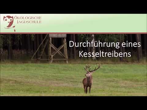 Lernen für die Jägerprüfung - das Kesseltreiben mit allen prüfungsrelevanten Jagdleitsignalen