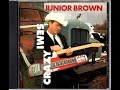 Cagey Bea by Junior Brown