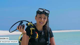 5 Reasons to Come to LUX* South Ari Atoll Resort & Villas, Maldives
