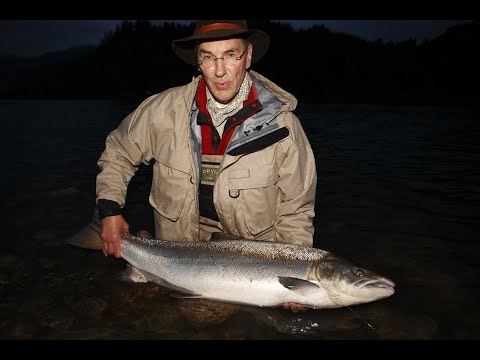 Huge Gaula Salmon on Fly and Orvis Helios rod – catch & release in Norway