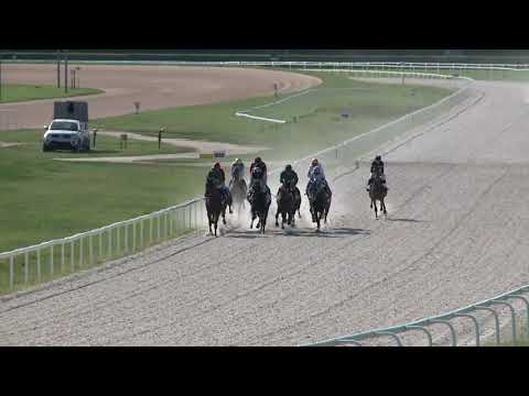 2019.08.11. 06. futam - HUSZÁR ÉS LOVASHAGYOMÁNYŐRZŐ TÁRSASÁG DÍJA (V.kat.)(szintetikus pálya)